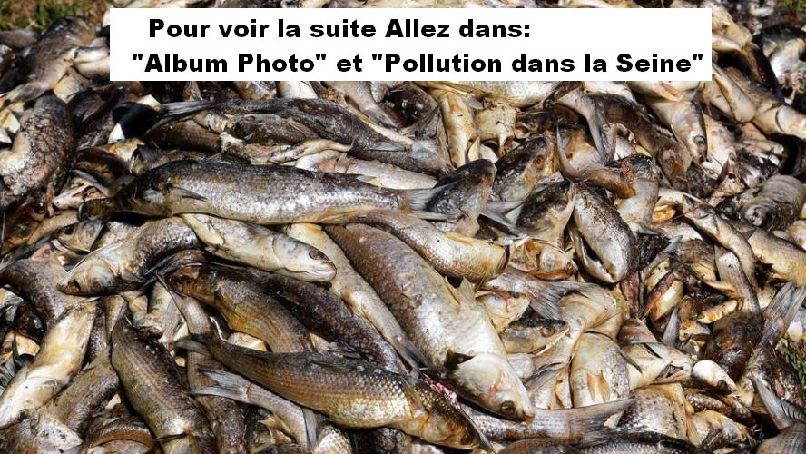 Pollution de la Seine