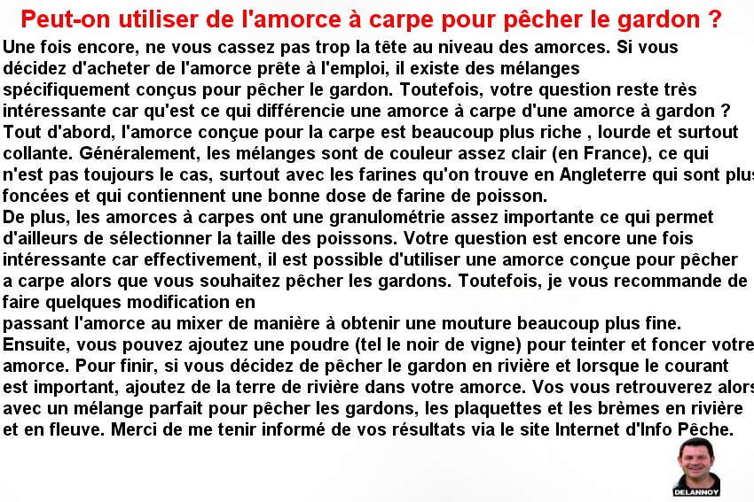 AMORCE CARPE POUR LE GARDON (2)