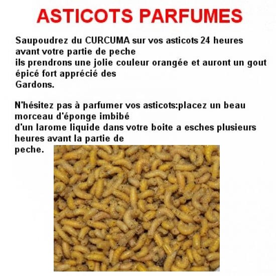 asticots-1