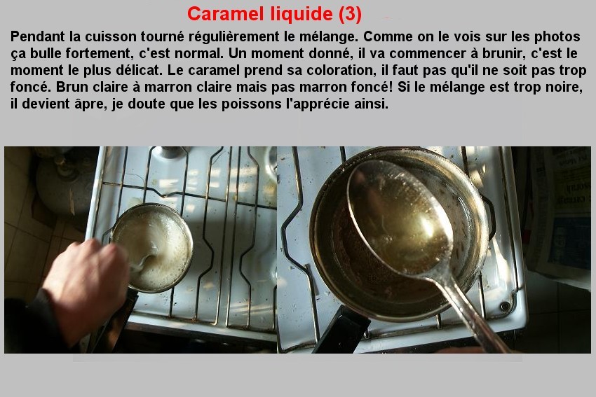 CARAMEL LIQUIDE (3)