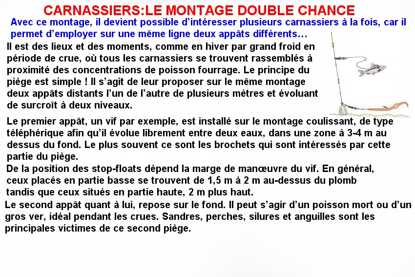 CARNASSIER LE MONTAGE DOUBLE CHANCE
