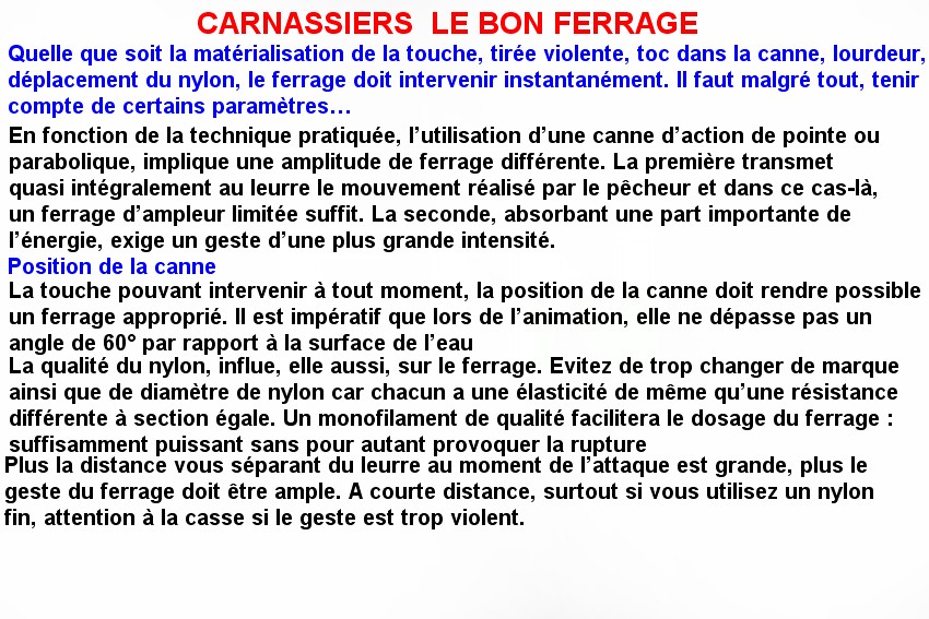 CARNASSIERS  LE BON FERRAGE