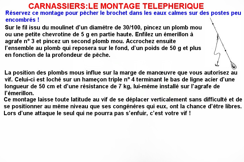 CARNASSIERS LE MONTAGE TELEPHERIQUE