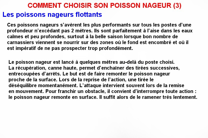 COMMENT CHOISIR SON POISSON NAGEUR (3)