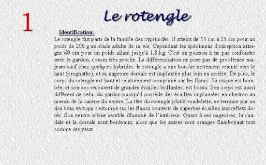 LE ROTENGLE 1