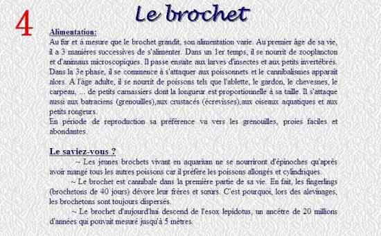 LE BROCHET 4
