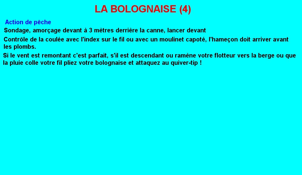 LA BOLOGNAISE (4)