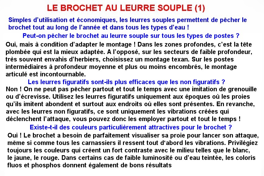 LE BROCHET AU LEURRE SOUPLE (1)
