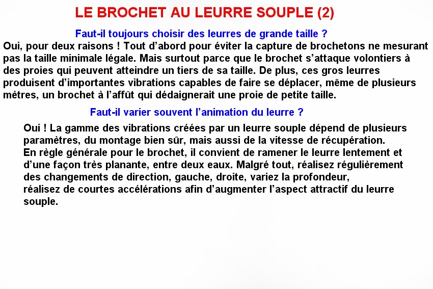 LE BROCHET AU LEURRE SOUPLE (2)