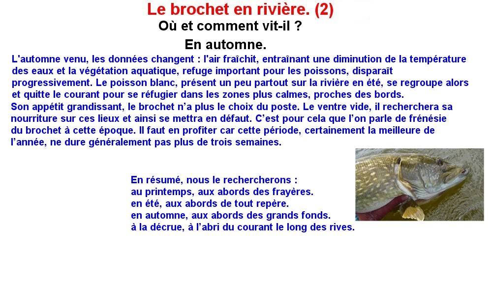 LE BROCHET EN RIVIERE (2)
