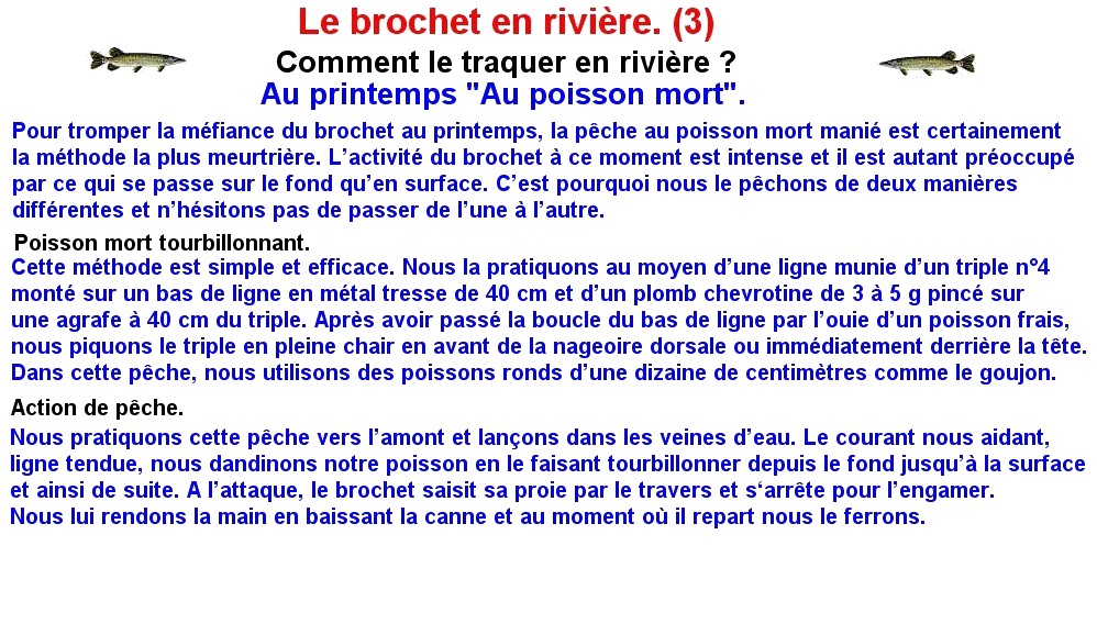 LE BROCHET EN RIVIERE (3)