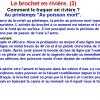 LE BROCHET EN RIVIERE (3)
