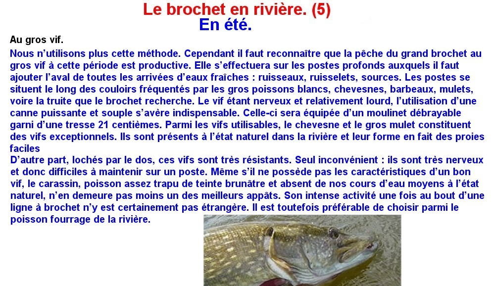 LE BROCHET EN RIVIERE (5)