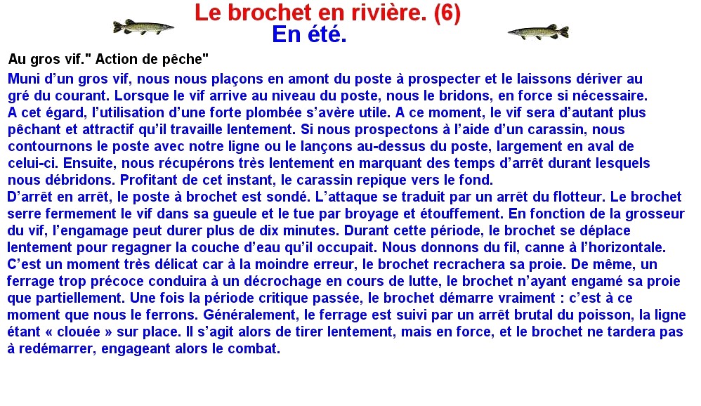 LE BROCHET EN RIVIERE (6)