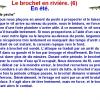 LE BROCHET EN RIVIERE (6)
