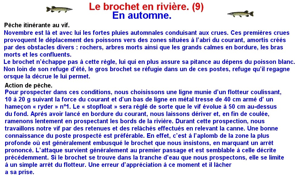 LE BROCHET EN RIVIERE (9)