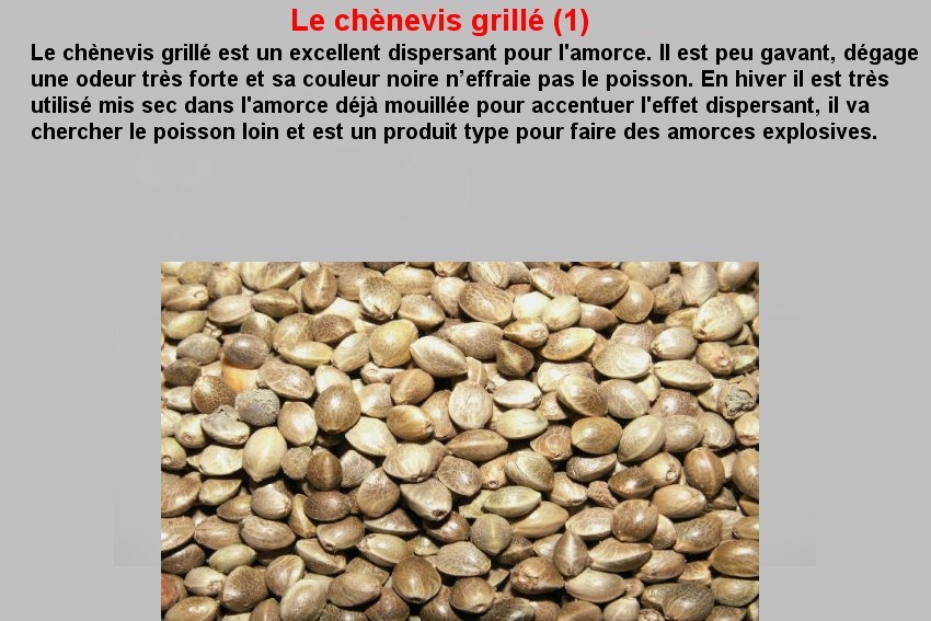 LE CHENEVIS GRILLE (1)