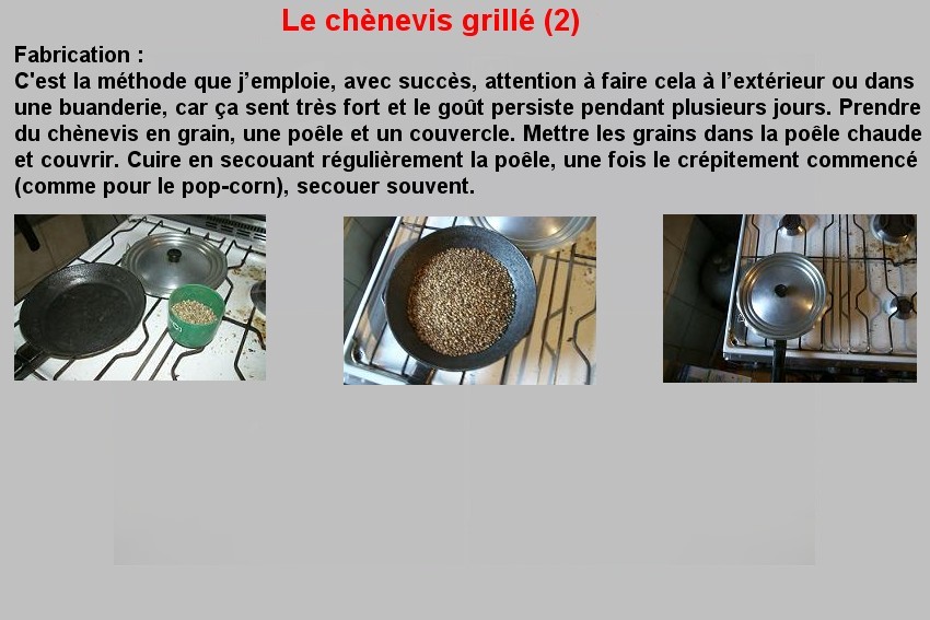LE CHENEVIS GRILLE (2)
