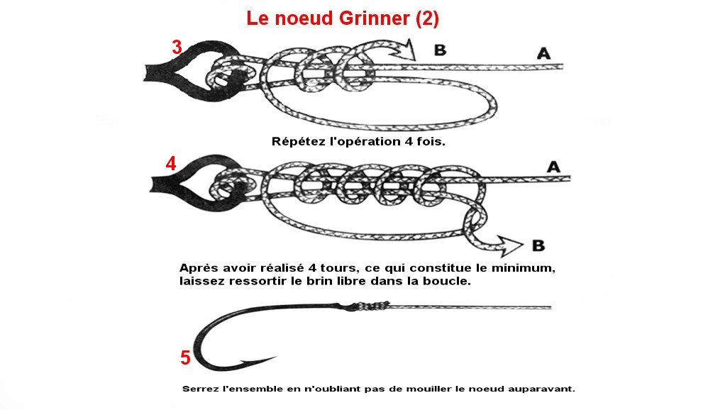 Le noeud grinner (2)