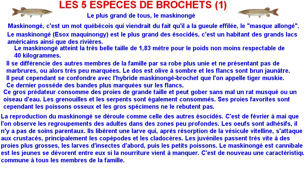 LES 5 ESPECES DE BROCHETS (1)