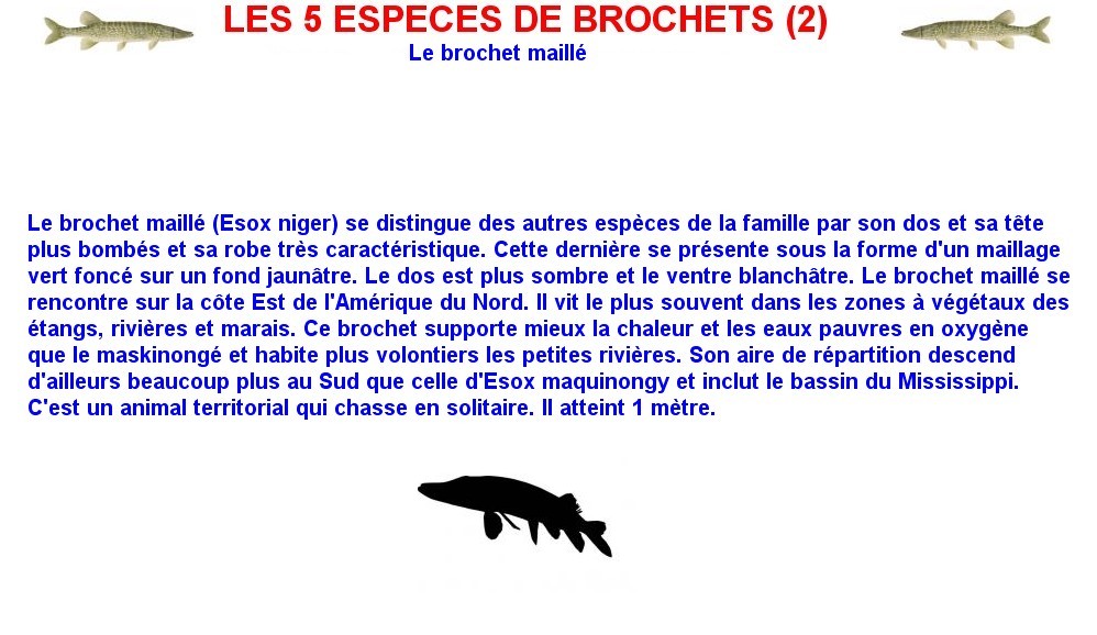 LES 5 ESPECES DE BROCHETS (2)