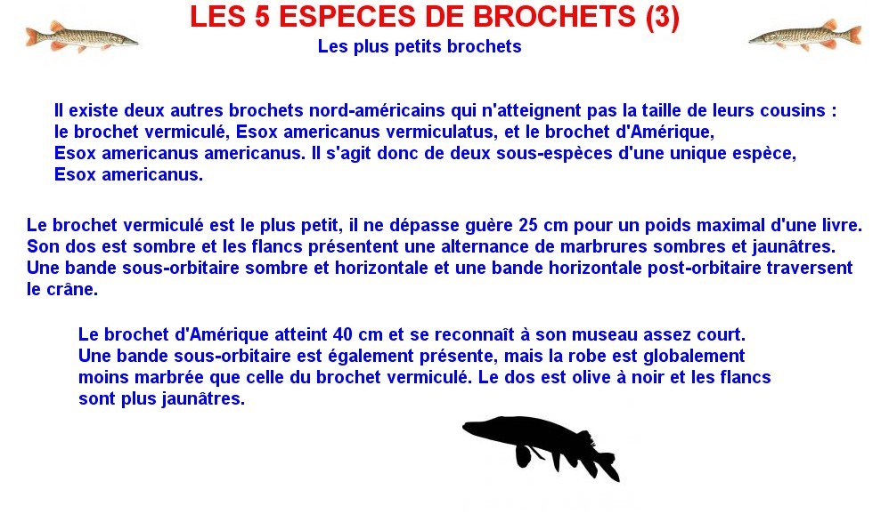 LES 5 ESPECES DE BROCHETS (3)