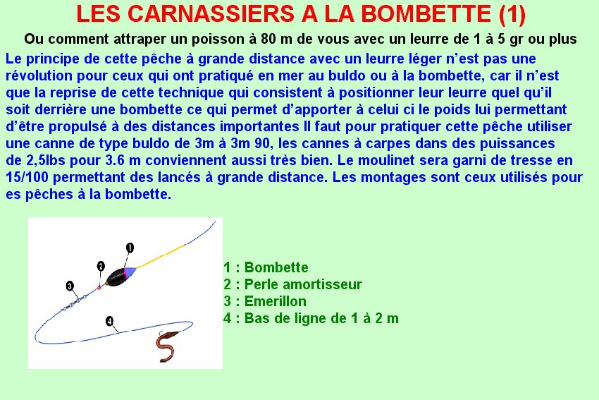LES CARNASSIERS A LA BOMBETTE (1)