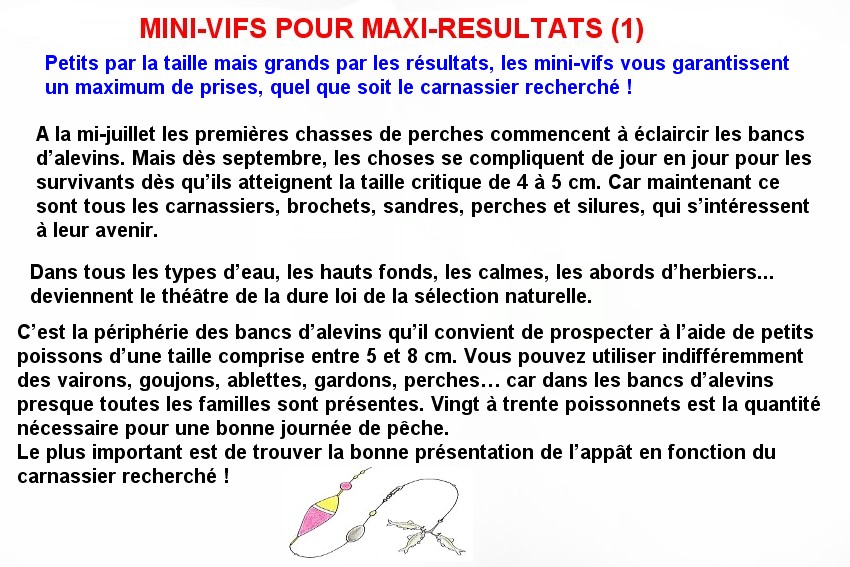 MINI-VIFS POUR MAXI-RESULTATS (1)