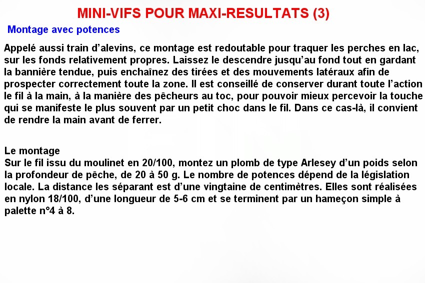 MINI-VIFS POUR MAXI-RESULTATS (3)