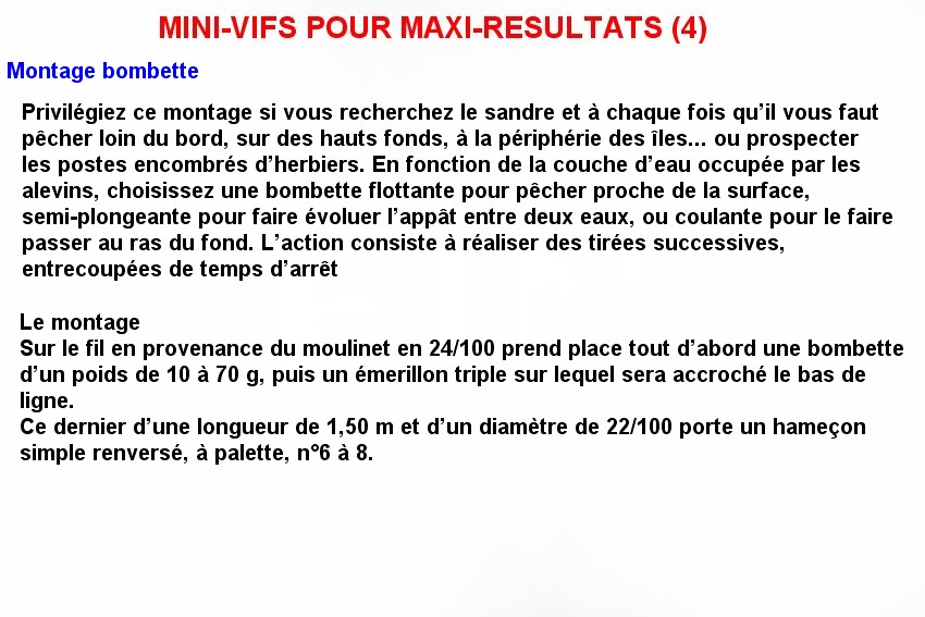 MINI-VIFS POUR MAXI-RESULTATS (4)