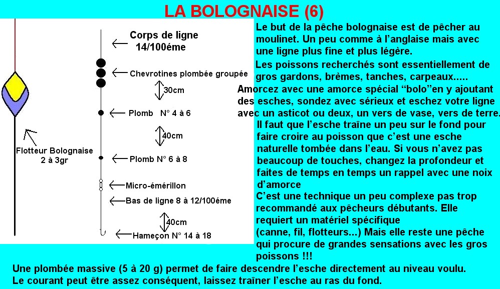 MONTAGE BOLOGNAISE RIVIERE (7)