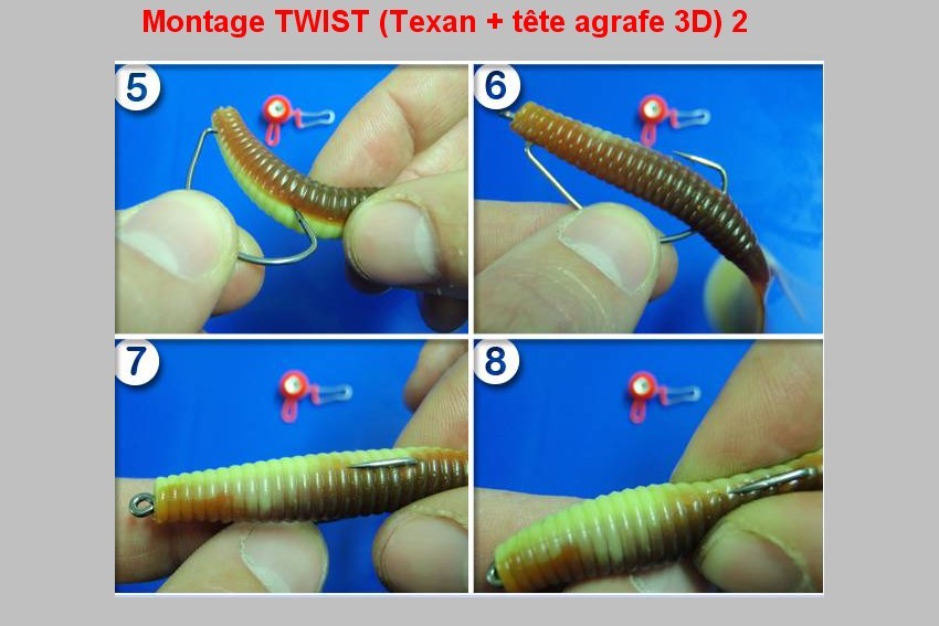Montage TWIST (TEXAN + TETE AGRAFE 3D)  2