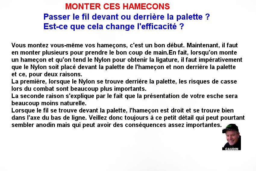 MONTER CES HAMECONS (9)
