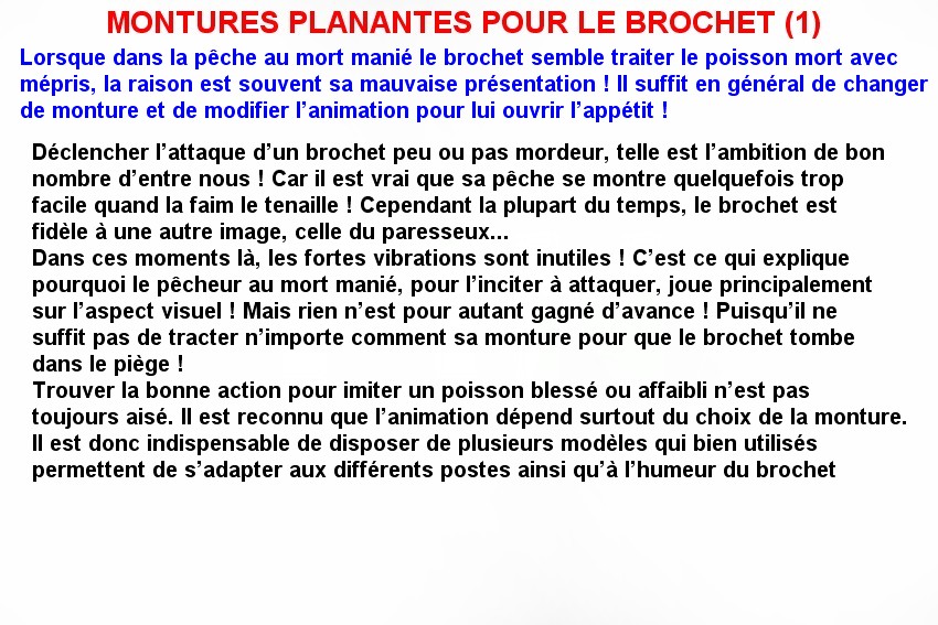 MONTURES PLANANTES POUR LE BROCHET (1)