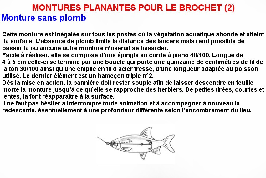 MONTURES PLANANTES POUR LE BROCHET (2)