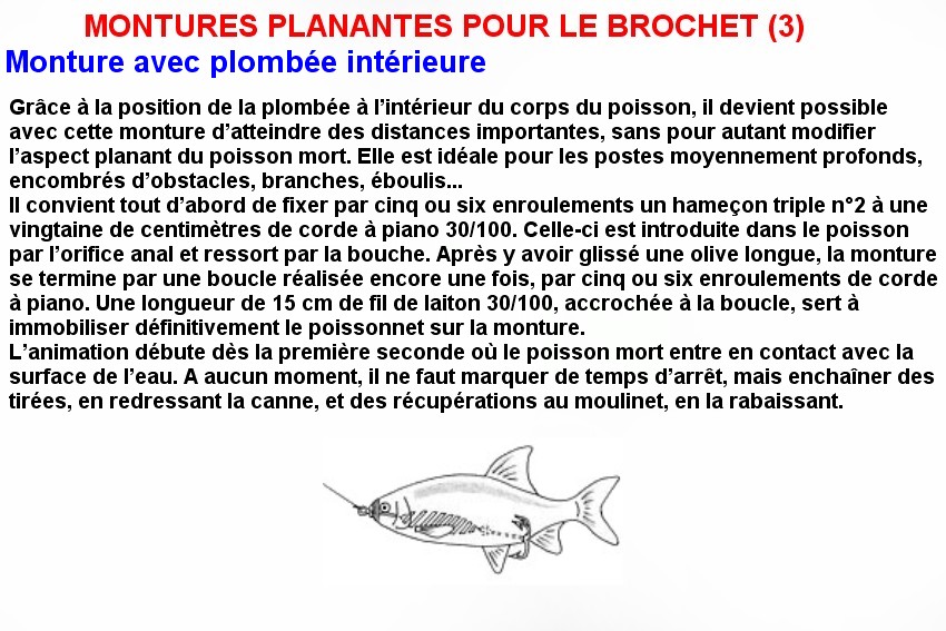 MONTURES PLANANTES POUR LE BROCHET (3)