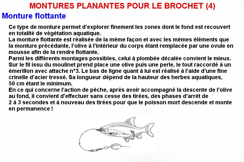 MONTURES PLANANTES POUR LE BROCHET (4)