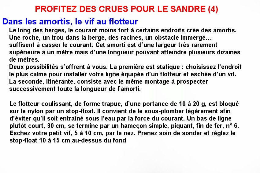 PROFITEZ DES CRUES POUR LE SANDRE (4)