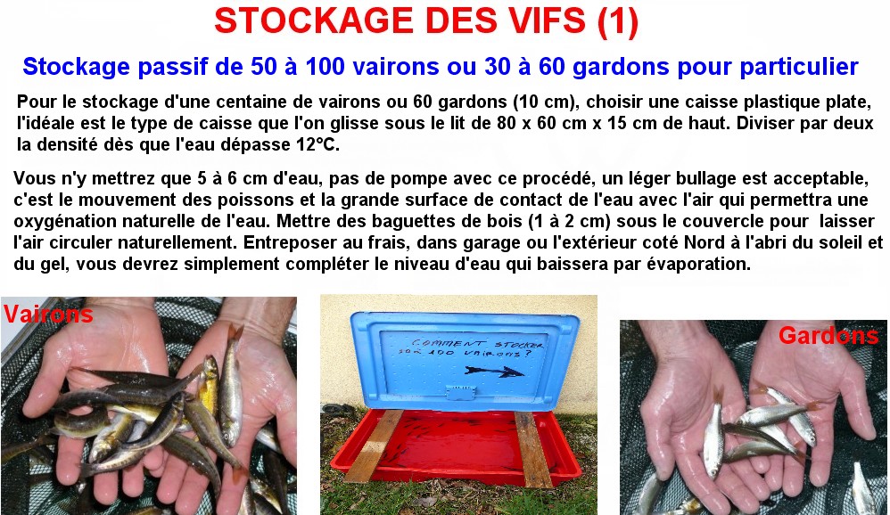 STOCKAGE DES VIFS (1)