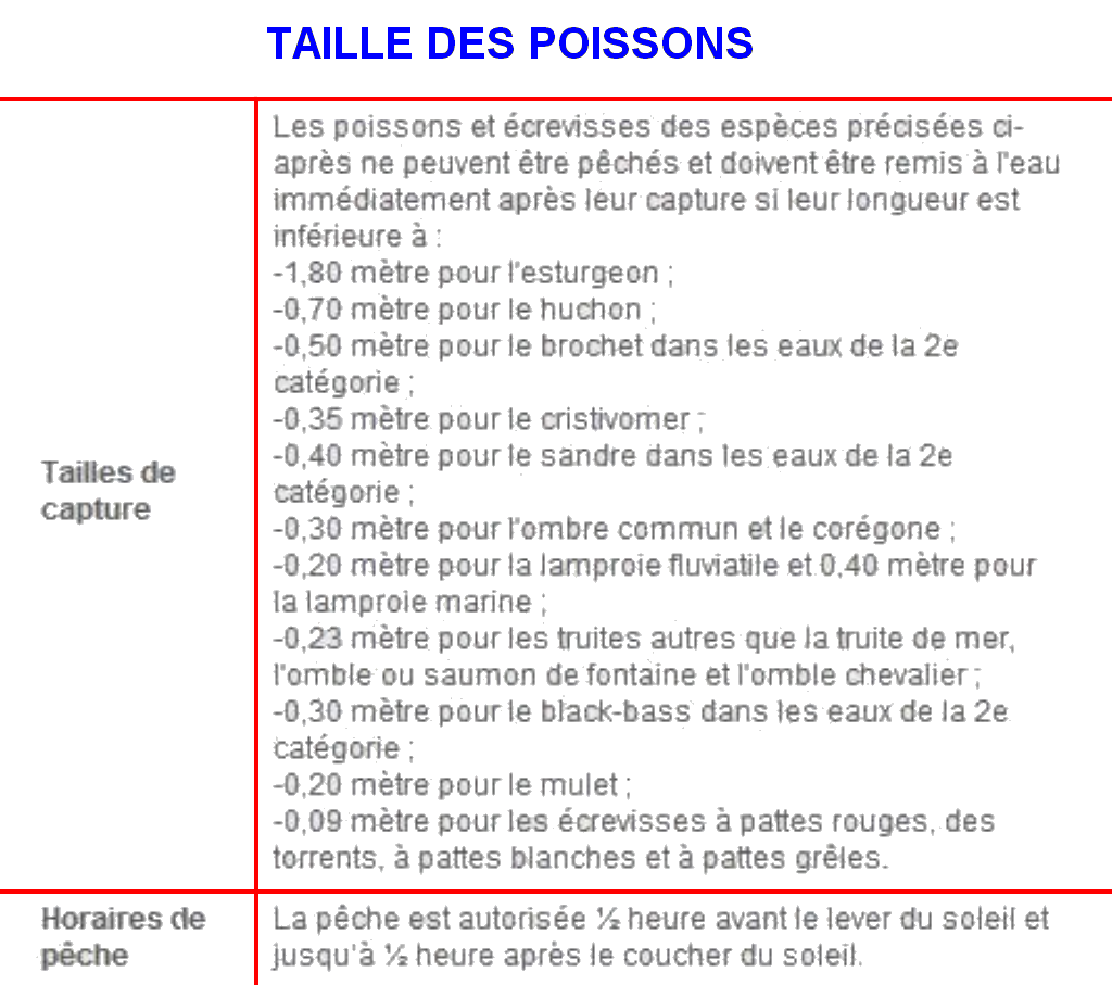 TAILLE DES POISSONS