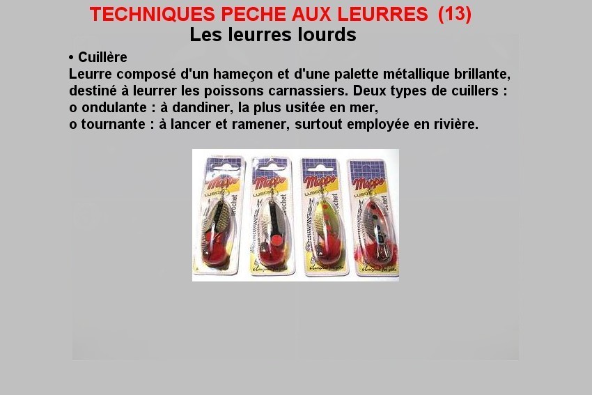 TECHNIQUES PECHE AUX LEURRES (13)