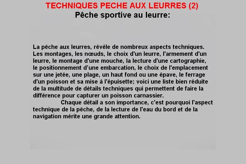 TECHNIQUES PECHE AUX LEURRES (2)