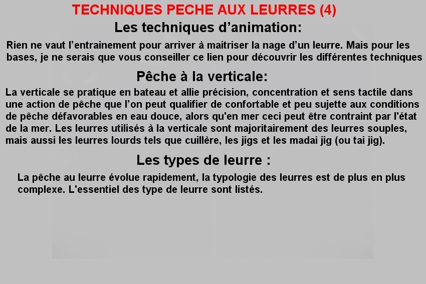 TECHNIQUES PECHE AUX LEURRES (4)