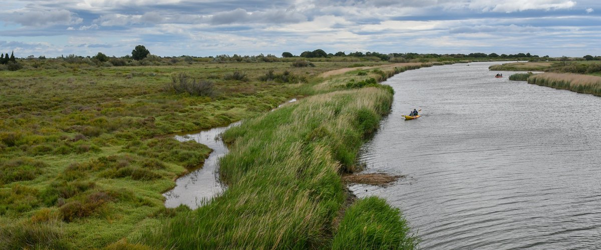 Du glyphosate dans nos rivières : plus de 65 % d'analyses positives dans les P.-O.